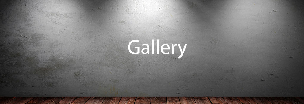 MTIS-Gallery-banner